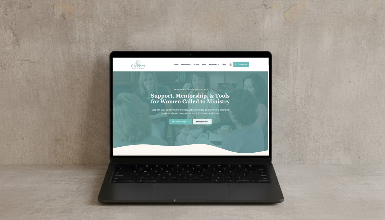 Connect Mentoring Network case study